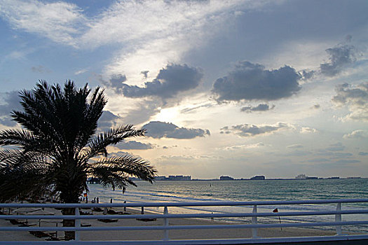 迪拜,棕榈树,海滩
