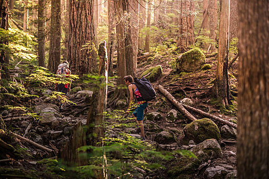 攀岩者,走,树林,加拿大