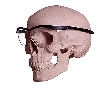 头骨,防护,眼镜