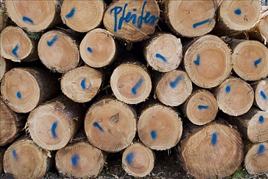 一堆木材,树,切削,风暴,黑森州,德国