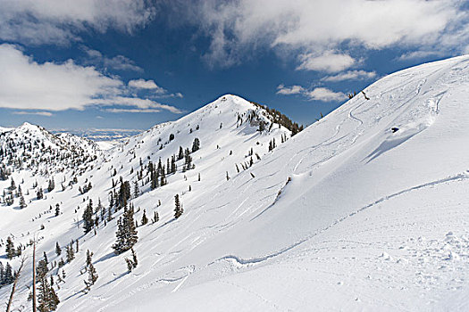 美国,犹他,阿尔泰,冬季风景,滑雪者,远景