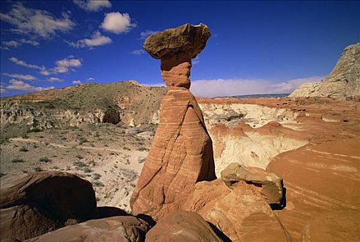 伞菌,石化,沙丘,悬崖,漂石,怪岩柱,靠近,河,大阶梯-埃斯卡兰特国家保护区,犹他