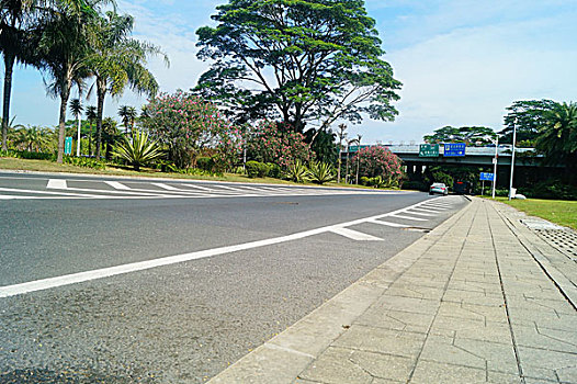 深圳滨海大道景观