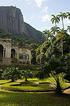 公园,基督像,耶稣山,背景,巴西