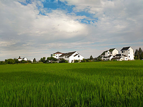 田园风光,乡村美景