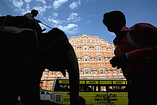 大象,风之宫,城市宫殿,独特,地标,斋浦尔,拉贾斯坦邦,印度