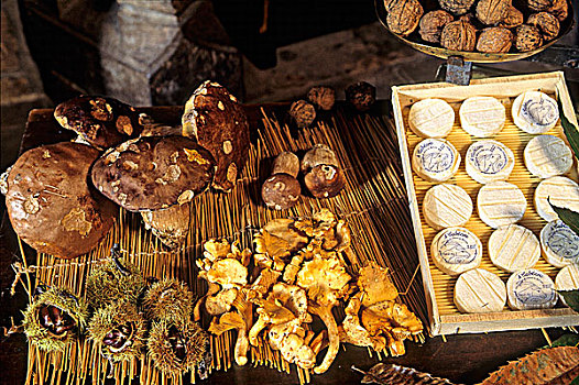 法国,利莫辛,庄园,16世纪,产品,栗子,坚果,奶酪,蘑菇