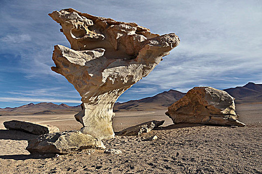 岩石构造,石头,树,边界,智利,玻利维亚,南美