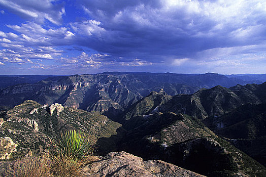 墨西哥,奇瓦瓦,国家公园,峡谷,植物,云