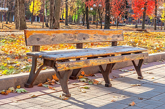 孤单,老,长椅,秋天,城市公园,晴天