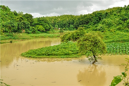 洪水,孟加拉