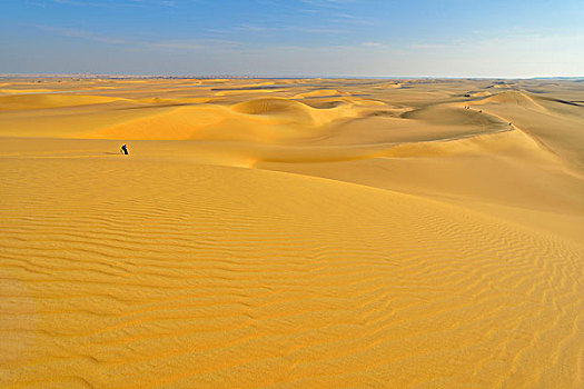 沙丘,沙漠,旅游,利比亚沙漠,撒哈拉沙漠,埃及,北非,非洲