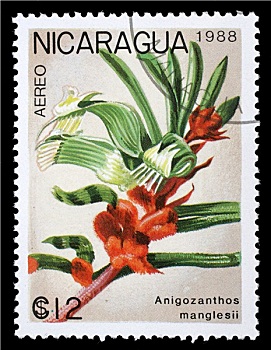邮票,尼加拉瓜