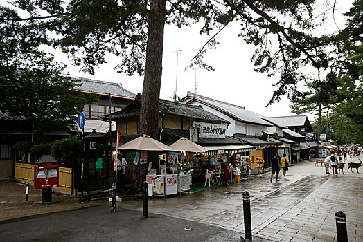 日本,奈良,东大寺