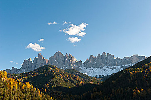 山林,秋天,多,自然公园,白云岩,阿尔卑斯山,南蒂罗尔,特兰提诺阿尔托阿迪杰,意大利,欧洲