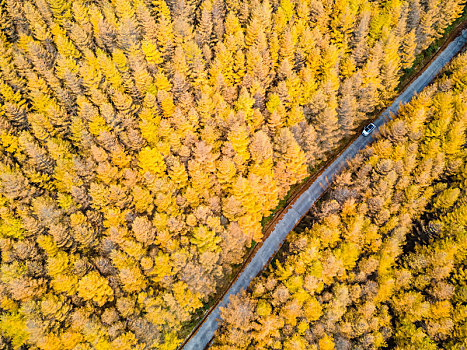 重庆巫山,深秋的梨子坪