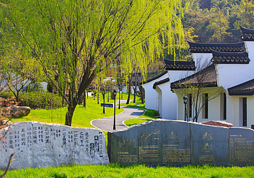 四合院,外景,天空,树木,蓝天