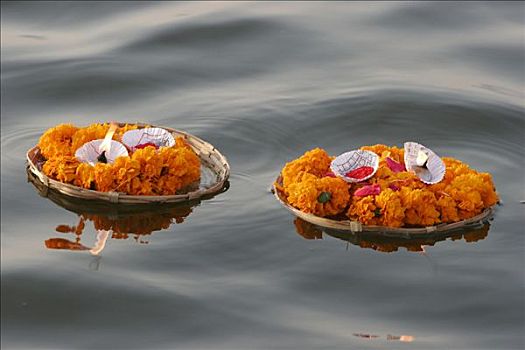 两个,盘子,花,蜡烛,漂浮,恒河,贝拿勒斯,北方邦,印度,南亚
