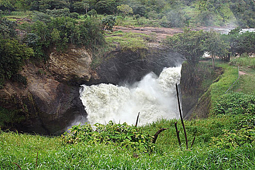 高处,瀑布,乌干达