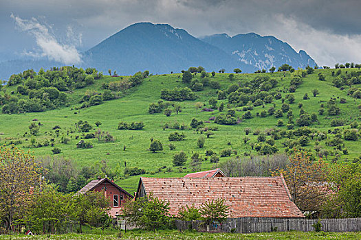 罗马尼亚,特兰西瓦尼亚,麸,房子,山