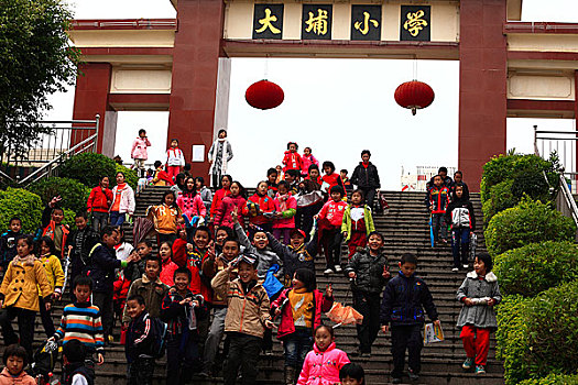 泰州大浦小学图片图片