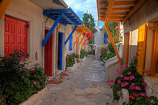 希腊,米克诺斯岛,彩色,老,酒店,入口