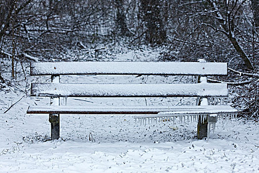 公园长椅,积雪