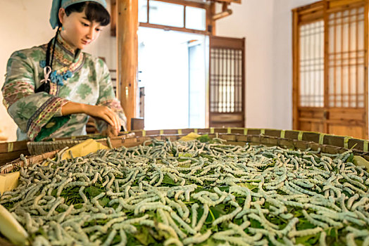 丝绸,博物馆,中国,织造工艺,服装服饰