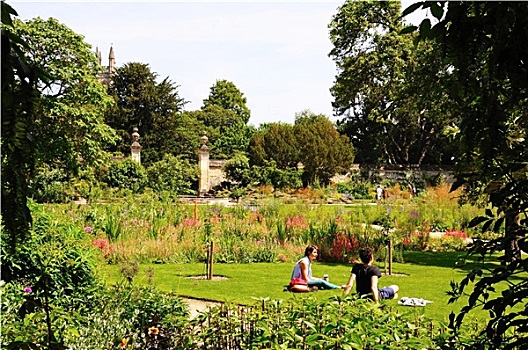 坐,夫妇,植物园,牛津