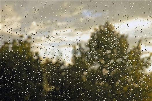 雨滴,窗玻璃,德国