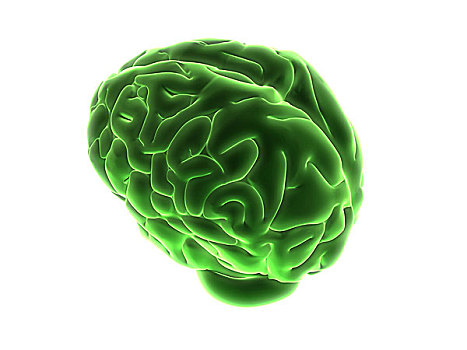 绿色,大脑