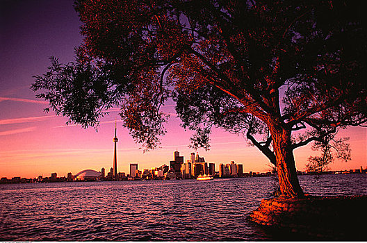 城市天际线,日落,多伦多,安大略省,加拿大