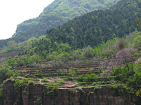 中国,河南,太行山