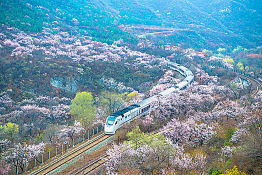 花海列车