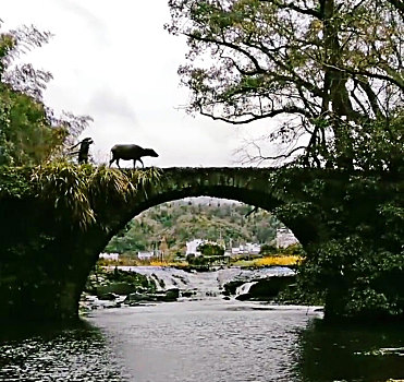 美景,仙境