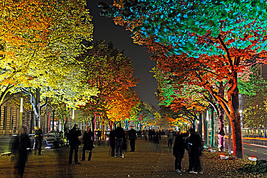 多彩,光亮,菩提树,树,道路,节日,2009年,柏林,德国,欧洲