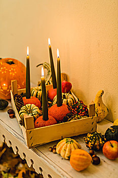 秋天,装饰,南瓜,蜡烛
