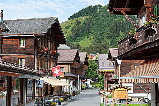 传统,木屋,主要街道,乡村,山村,伯恩高地,阿尔卑斯山,瑞士,欧洲