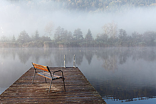 清晨,湖,靠近,卡林西亚,奥地利,欧洲