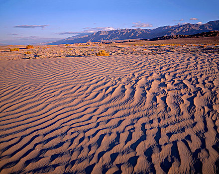 美国,加利福尼亚,死亡谷国家公园,质地,沙丘,葡萄藤,山,远景,大幅,尺寸