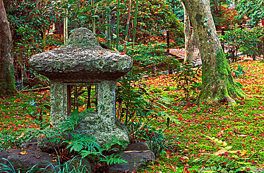 庙宇,岚山,京都,日本