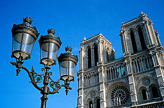 法国,巴黎,巴黎圣母院,大教堂,路灯