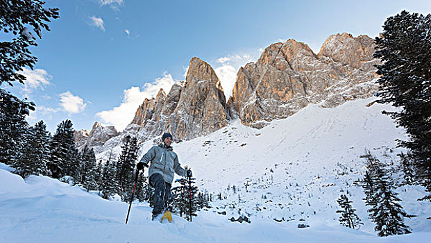 远足,雪鞋,走,初雪,背景,路,一个,漂亮,路线,博尔查诺,省,特兰迪诺,南蒂罗尔,意大利,欧洲