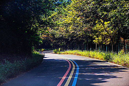 山村道路,天目湖