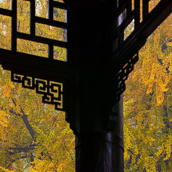 西安古观音禅寺的秋景