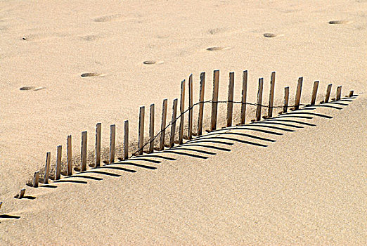 沙子,栅栏,查塔姆,东方,海岸,岬角,马萨诸塞,美国