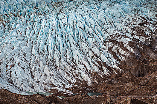 特写,冰河,洛斯格拉希亚雷斯国家公园,巴塔哥尼亚,阿根廷