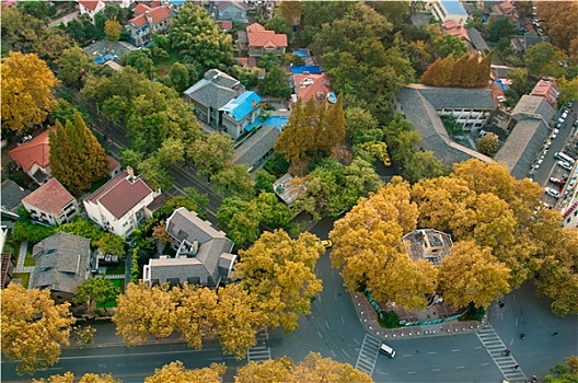 南京颐和路民国公馆俯视图秋景