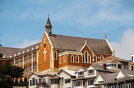 新西兰,北岛,惠灵顿,寺院,圣徒