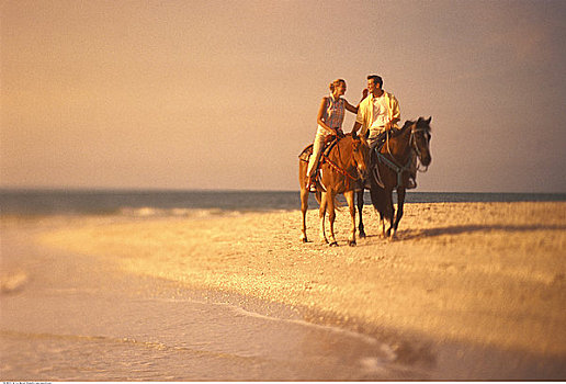 伴侣,骑马,海滩,日落